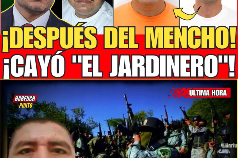 Un Susurro En Nayarit Terminó Con El Reinado Del Escudo Del Mencho