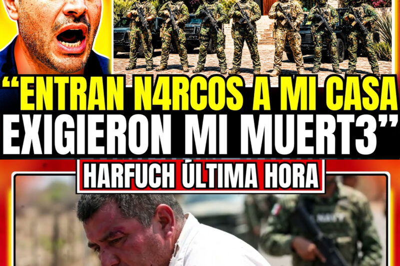El Dron Que Miraba A Harfuch Llevaba Un Secreto Que El Cártel No Pudo Borrar