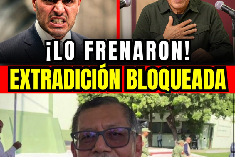 El Expediente 539: Un Sello Judicial Detiene El Cerco Contra El Cártel De Sinaloa