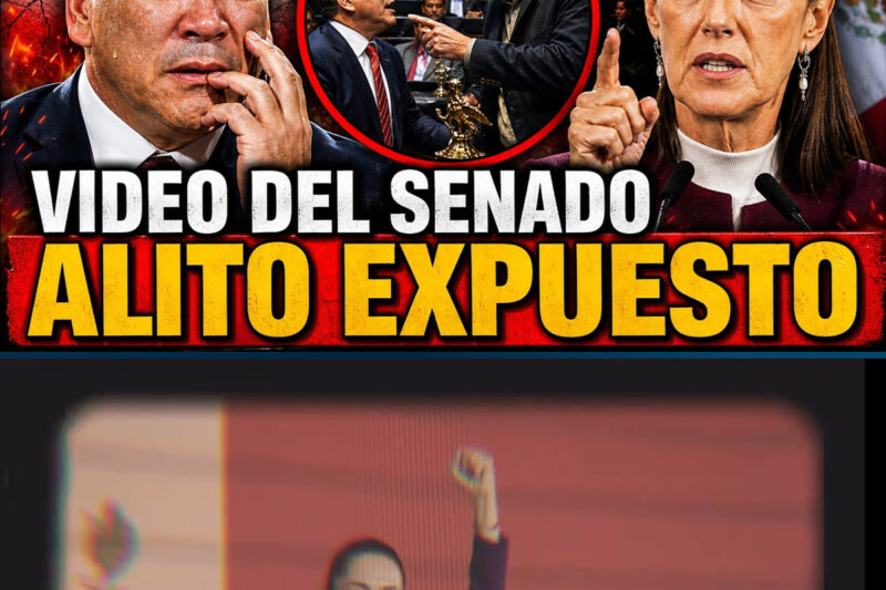 Aquel Empujón En El Pleno Dejó Una Marca Que Ningún Discurso Podrá Borrar
