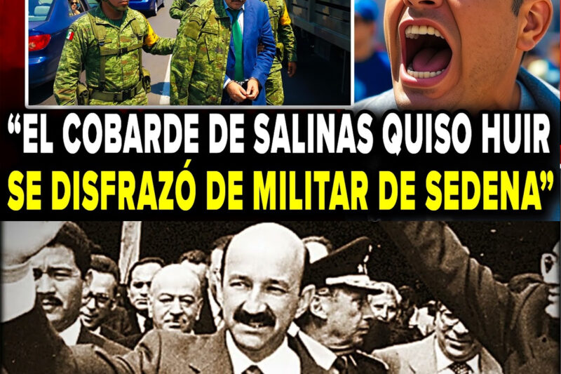 Ocho Millones Y Un Disfraz No Fueron Suficientes En La Terminal Privada