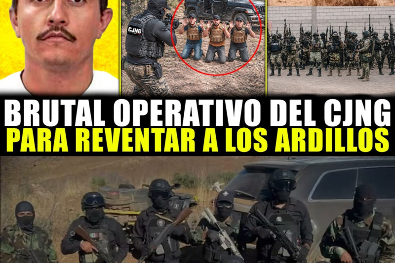 El Comunicado Del Grupo Armado Ocultaba Un Mensaje Más Oscuro Para Guerrero