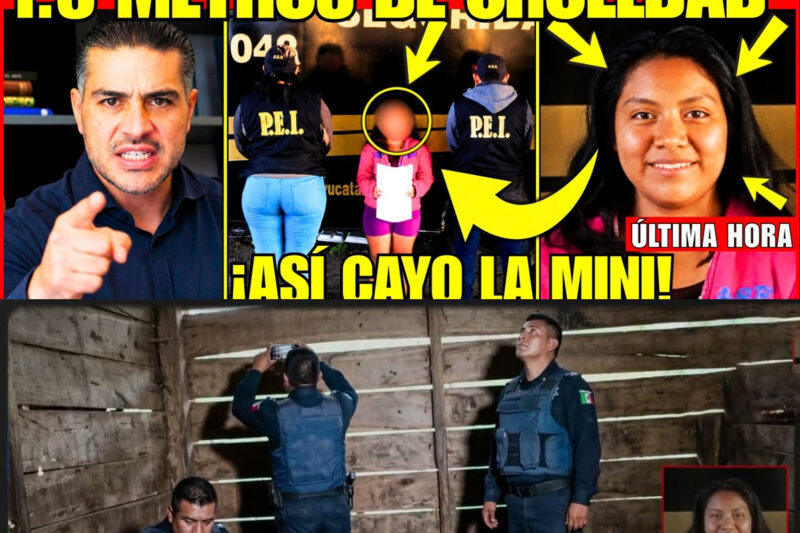 Cuatro Palabras En Un Chat Cifrado Dejaron Un Rastro Que Nadie Debía Seguir