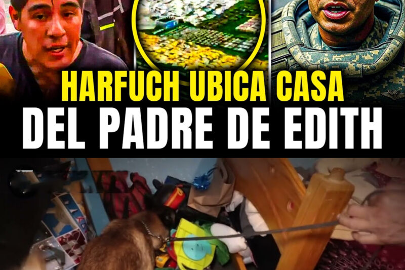 El Susurro Que Edith Dejó Bajo La Alfombra Del Edificio Murano